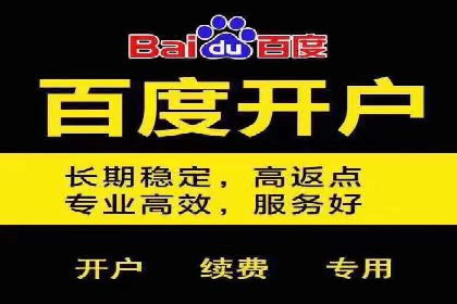百度竞价排名策略解析：一家公司的广告投放策略全揭秘